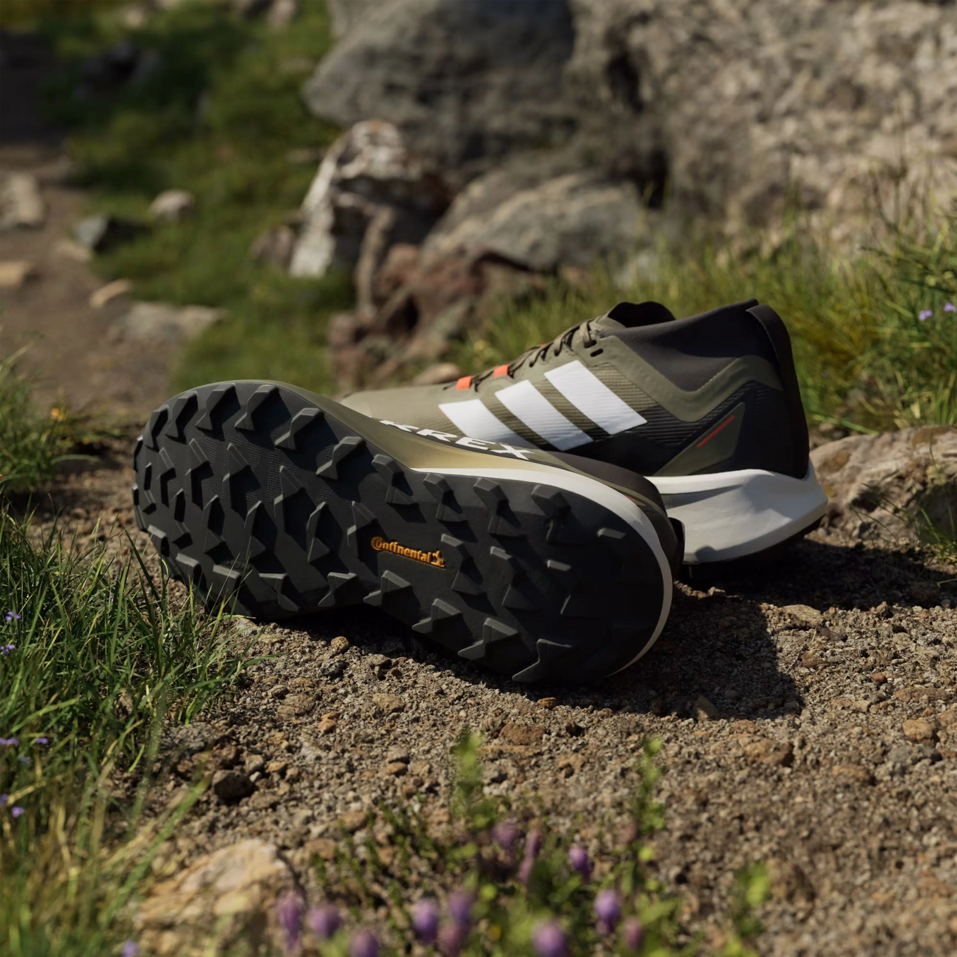 Adidas Terrex trail running shoes Agravic Black / Green