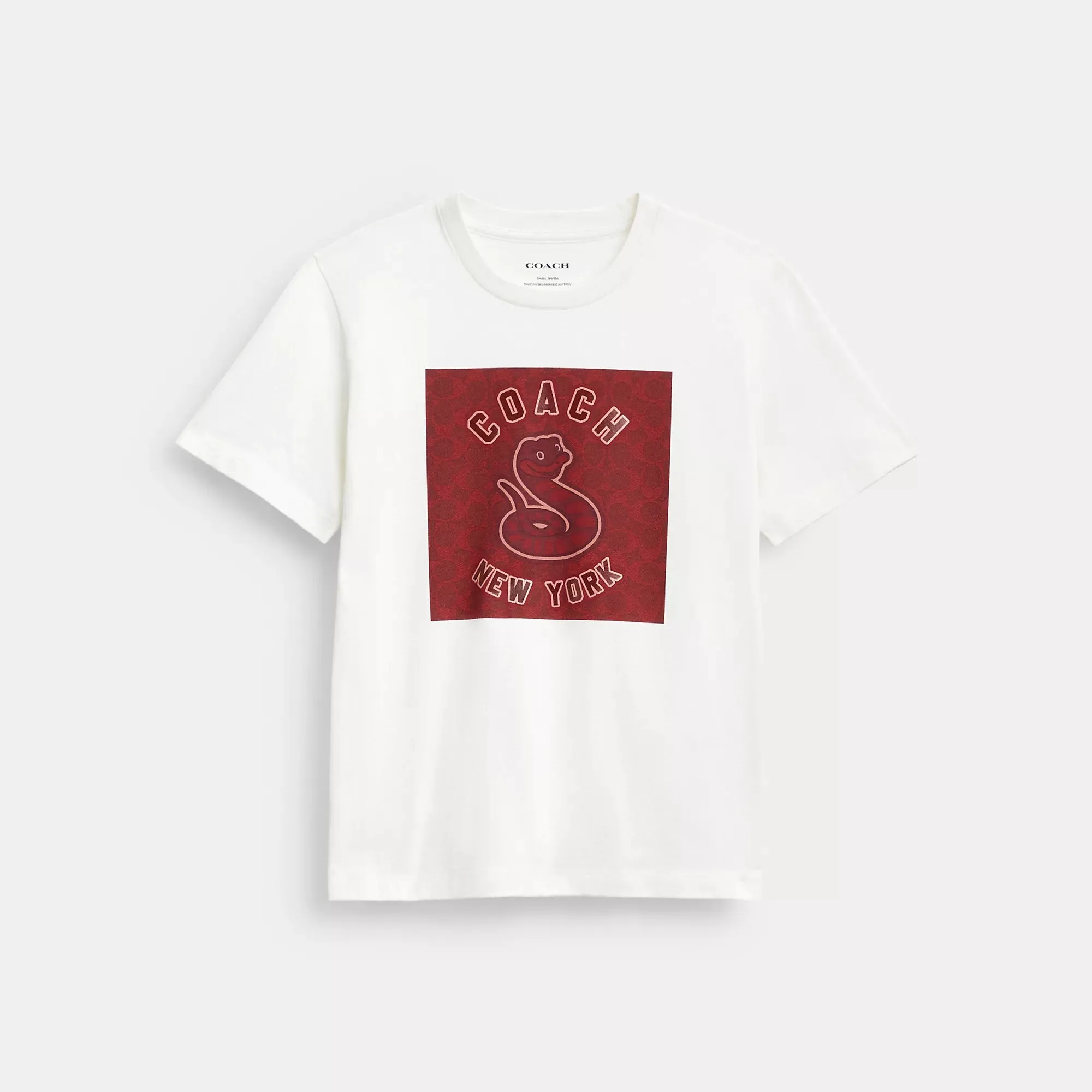 Coach Outlet New Year Signature Square T Shirt In Organic Cotton With Snake Graphic