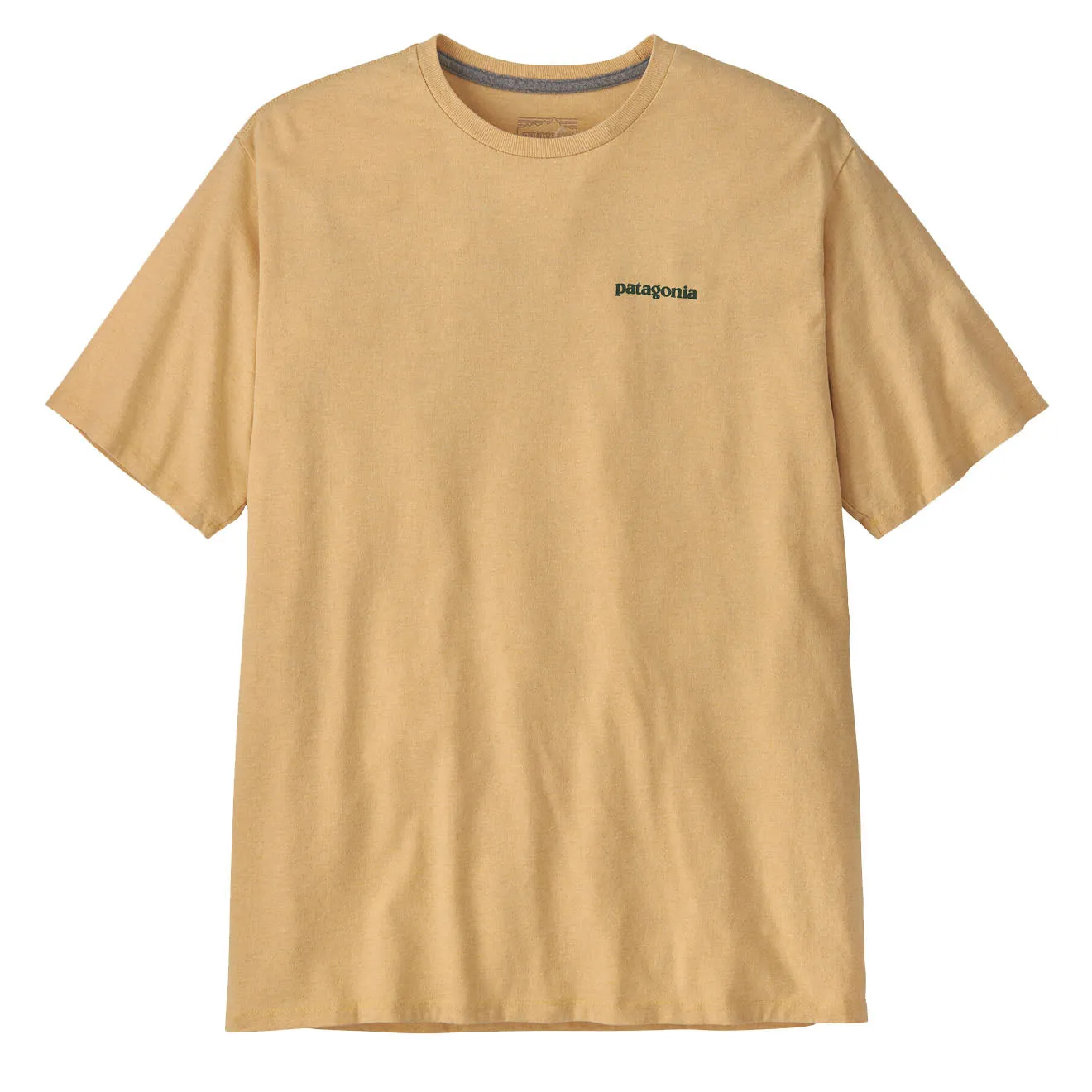 Patagonia Flying Fish Responsibili-Tee Flying Fish / Cliffs and Coves Conifer Green