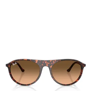 Ray-Ban RB2215 14293B 59 Sunglasess Polished Havana / Red Tortoiseshell