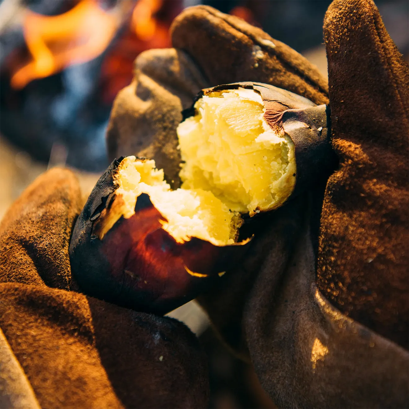 Snow Peak Fireside Gloves
